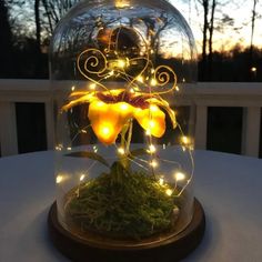 a glass dome with lights and flowers in it