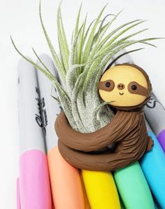 a slotty plant sitting on top of a pile of crayons next to an air plant