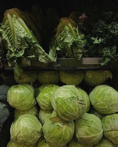 cabbages and lettuce on display in a grocery store