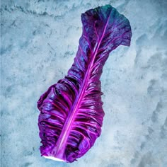 a purple leaf laying on top of sand