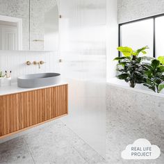 a bathroom with a plant in the corner and a mirror on the wall next to it