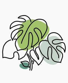 a drawing of a plant with green leaves