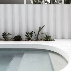 an outdoor swimming pool with plants in the middle and white walls behind it, surrounded by wood flooring