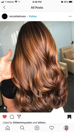 Caramel And Ginger Hair, Caramel Balayage On Auburn Hair, Long Brown Hair With Copper Highlights, Cooper Lowlights On Brown Hair, Ginger Brunette Hair Highlights, Women's Professional Hairstyles, Strawberry Blonde And Brown Hair, Burnett Hair Color Ideas 2023, Apple Cider Hair Color