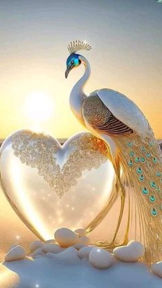 a white peacock standing on top of a heart shaped object