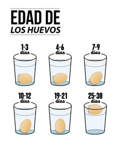 the spanish version of an iphone app shows how to drink eggs in different cups and numbers