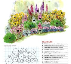 an illustrated garden with flowers and plants labeled in the words plant list on each side