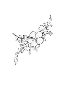 a line drawing of flowers on a white background