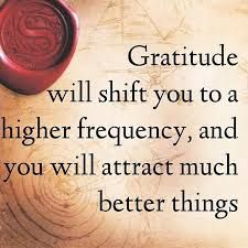 a poster with an image of a seal and the words,'gratitude will shift you to a higher frequency, and you will attract much better things '