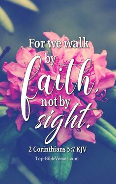 a pink flower with the words for we walk by faith not by sight, 2 corin