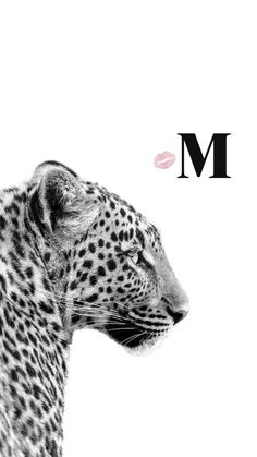 a black and white photo of a leopard with the letter m on it's back