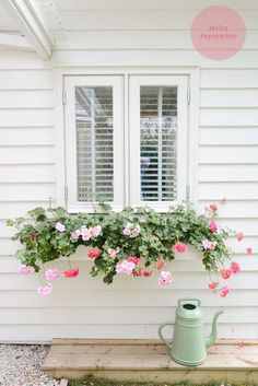 a window box filled with pink flowers next to a green watering can