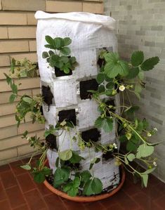 a potted plant sitting on top of a brick floor