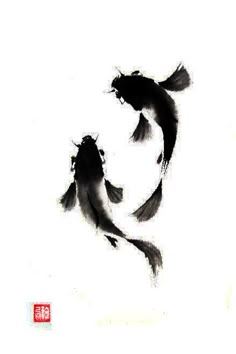 two black and white koi fish in water with chinese writing on the back ground