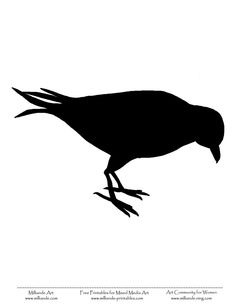 the silhouette of a bird is shown against a white background