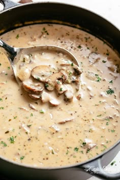 a ladle full of creamy chicken and mushroom soup