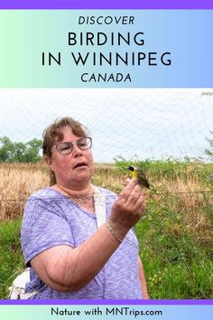 Birding in Winnipeg: A Guide to the Best Spots Canada Dream, Winnipeg Canada, Dream Trips, West Coast Road Trip, Manitoba Canada