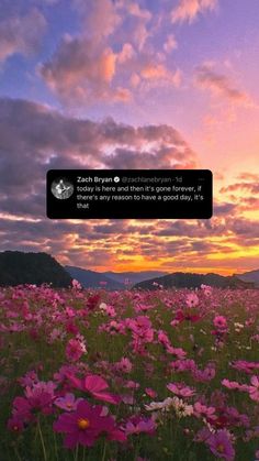 a field full of pink flowers under a purple sky with the sun setting in the distance