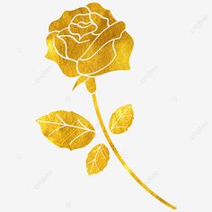 a golden rose on a white background with watercolor paint effect, painting, flower, gold png and psd