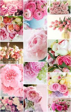 a collage of pink and white flowers