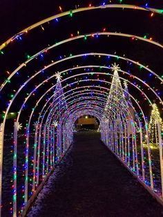 an arched walkway covered in christmas lights at night, with trees and bushes on either side