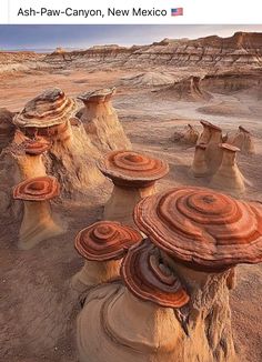 the desert is covered in many different types of rock formations