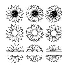 six sunflowers with different shapes and sizes, each one drawn in black ink