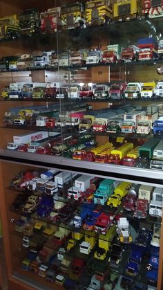 a display case filled with lots of different types of toy cars and trucks on shelves