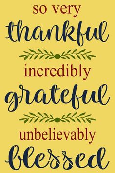 some type of lettering that says, so very thanksgiving incredibly grateful unbelevably blessed