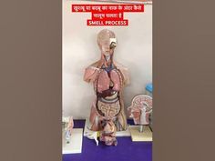 an image of a medical mannequin in front of a sign