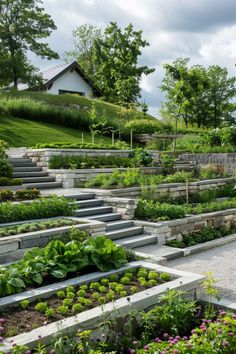 an outdoor vegetable garden with steps leading up to the house and trees in the background