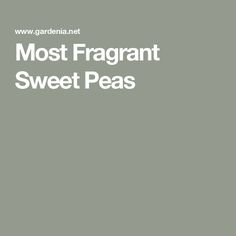 the words most fragrantt sweet peas are in white letters on a gray background