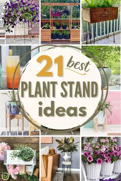 the best plant stand ideas for your garden