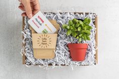 a person is holding a card in front of a box with succulents and a potted plant