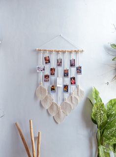 a white wall hanging with pictures and photos on it next to a potted plant