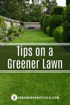 a green lawn with the words tips on a greener lawn