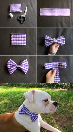 the instructions for how to make a dog collar bow tie with fabric strips and buttons