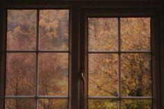 two windows with autumn trees seen through them