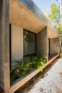 the house is made out of concrete and has plants growing in it