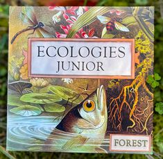 There is a box with a pond scene on the front; a fish comes out of the water with a dragonfly, bee, flowers, and lily pads. Biology Games, Trophic Level, Forest Games, Forest Life, Biology Facts, Biology Teacher, Food Web, Science Games, Science Gifts