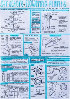 a poster with instructions on how to grow flowers