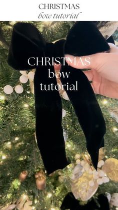 a hand holding a black bow on top of a christmas tree with ornaments around it