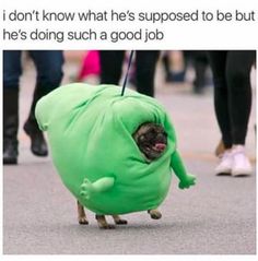 a pug dog in a green costume walking down the street with its tongue sticking out