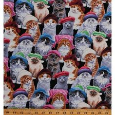 multicolored cats wearing hats on a black background with ruler in the foreground