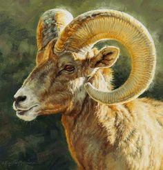 an oil painting of a ram with large horns