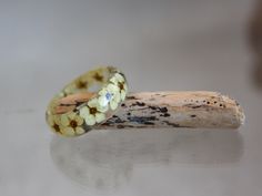 two rings sitting on top of a piece of driftwood next to a stick with flowers