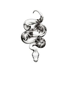 an ink drawing of a snake with flowers on it's tail