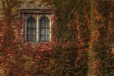 an old building with ivy growing on it's side and a window in the middle