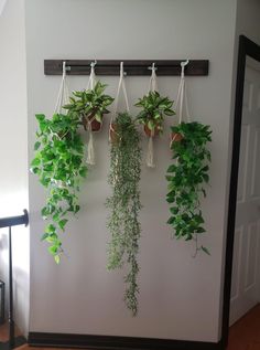 some plants are hanging up on the wall