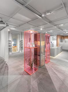 an empty room with several different colored glass cases on the floor and plants in vases